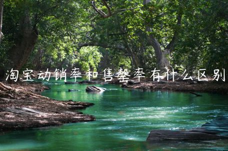 淘寶動(dòng)銷(xiāo)率和售罄率有什么區(qū)別